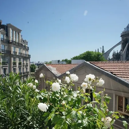 Notre-dame Terrace * Paris