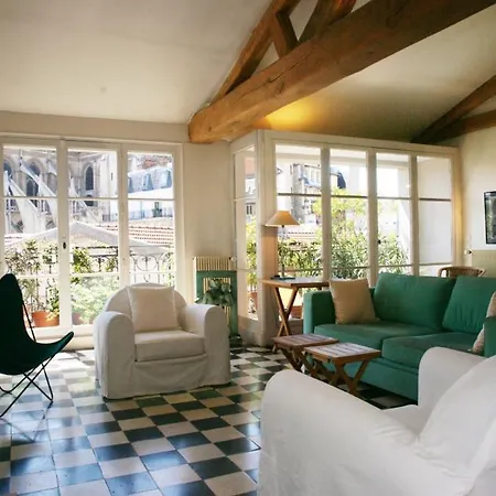 Notre-dame Terrace Paris