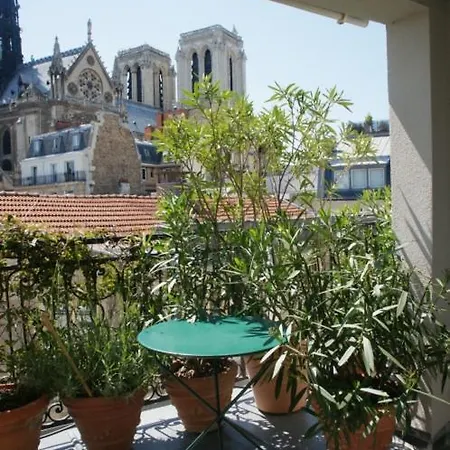 Notre-dame Terrace * Paris